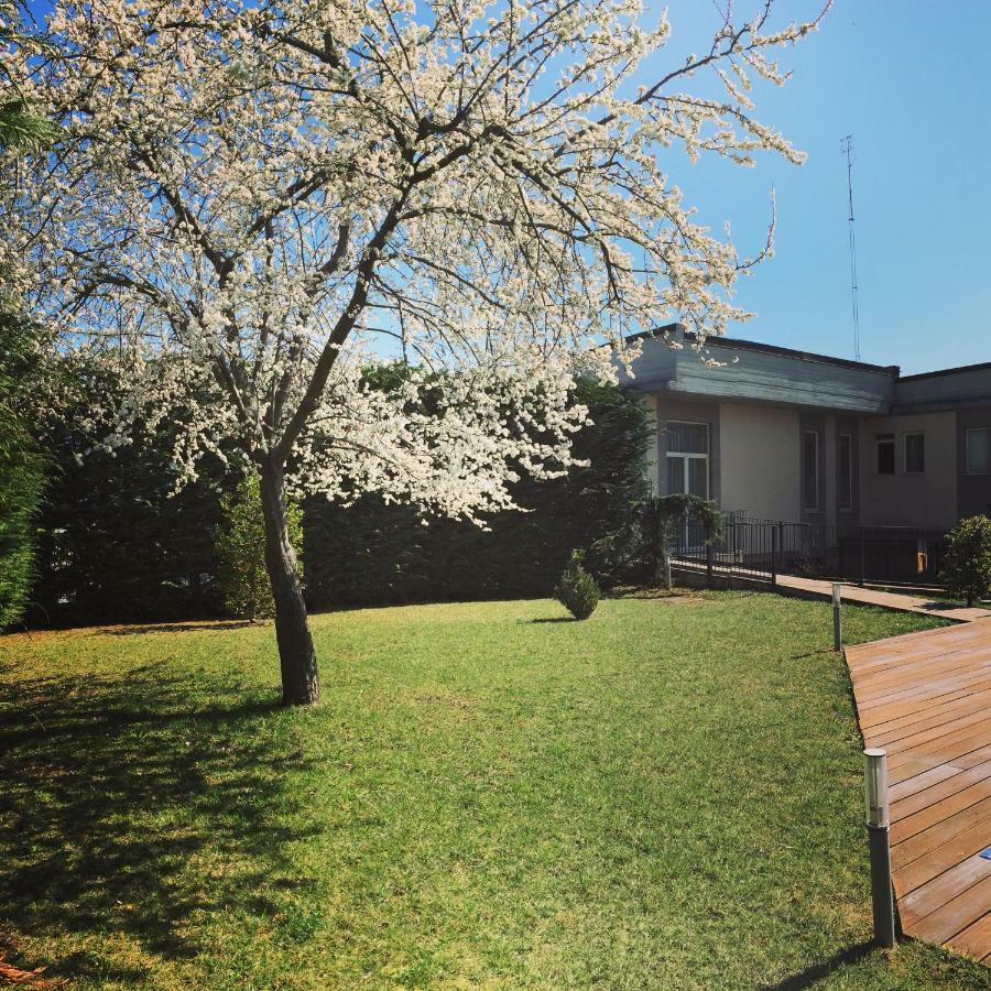Hotel Villa Cinzia Villanova Mondovi ภายนอก รูปภาพ